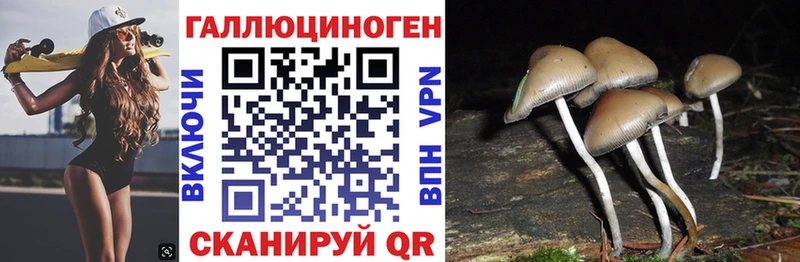 Галлюциногенные грибы Psilocybe  Красноармейск 