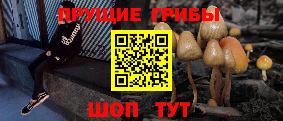 Псилоцибиновые грибы ЛСД Красноармейск